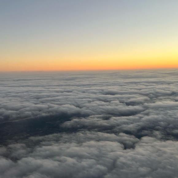 Meet your Posher, Emily - Picture 5 of 5